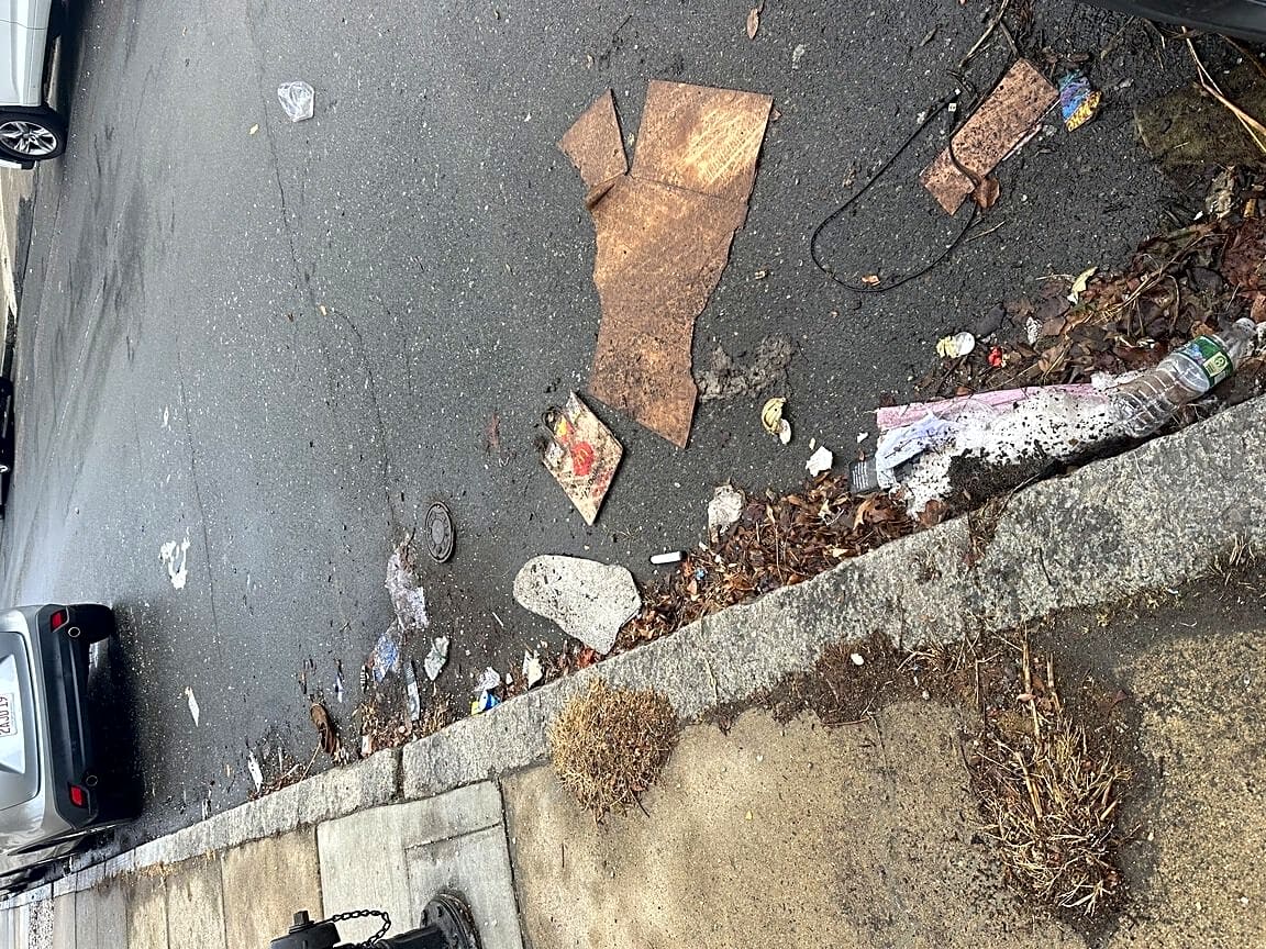 Image submitted with report