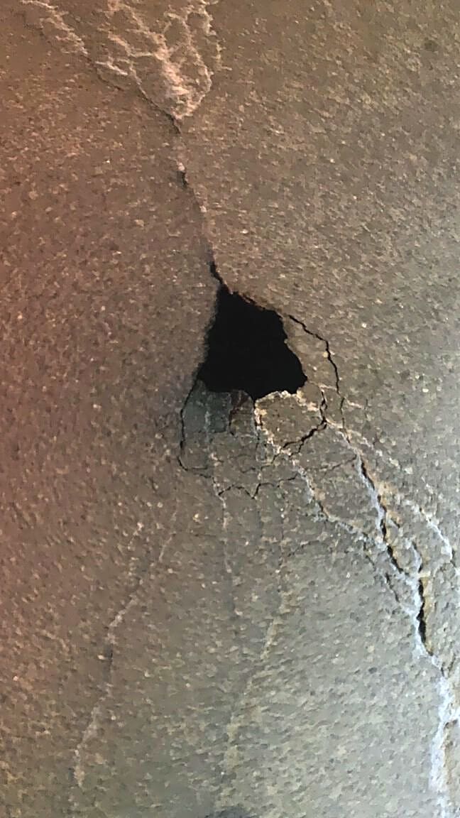 Image submitted with report