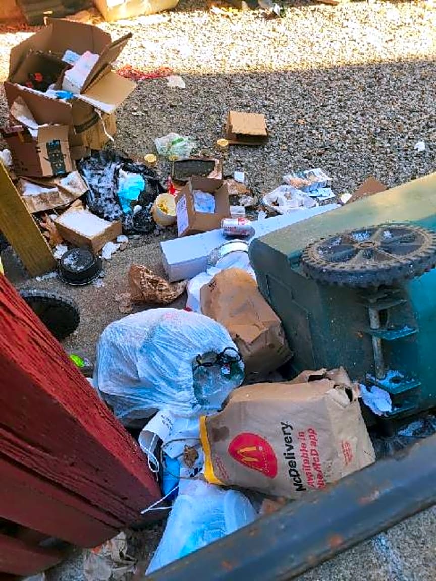 Image submitted with report