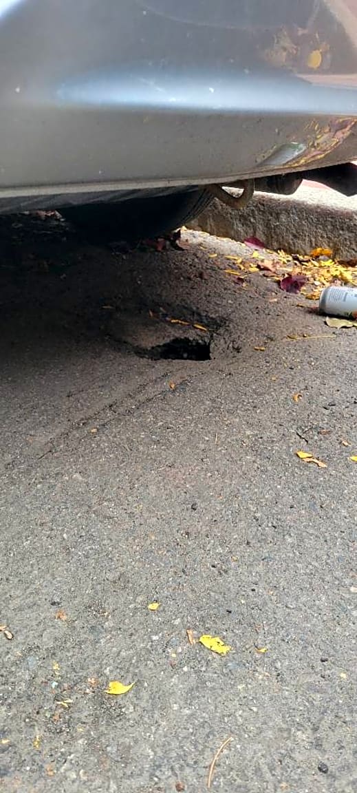 Image submitted with report