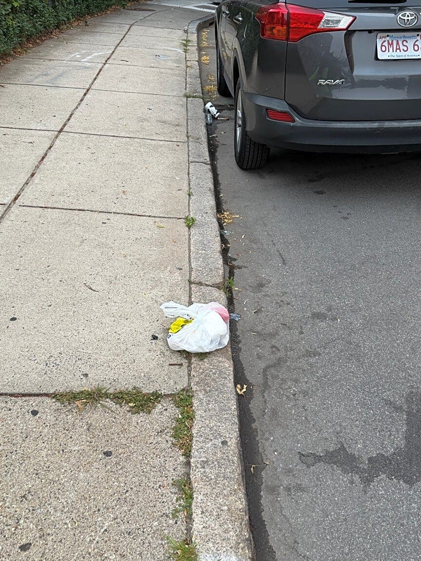 Image submitted with report