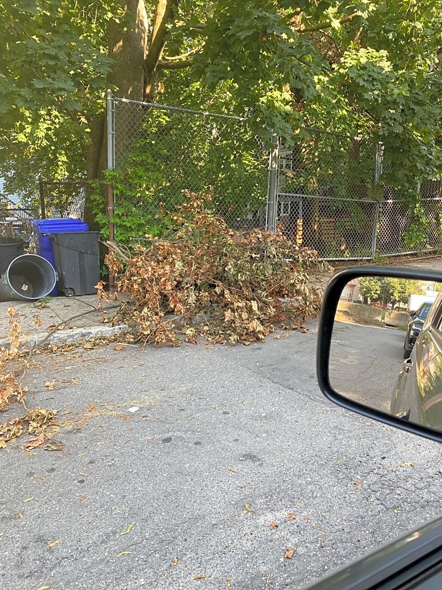 Image submitted with report