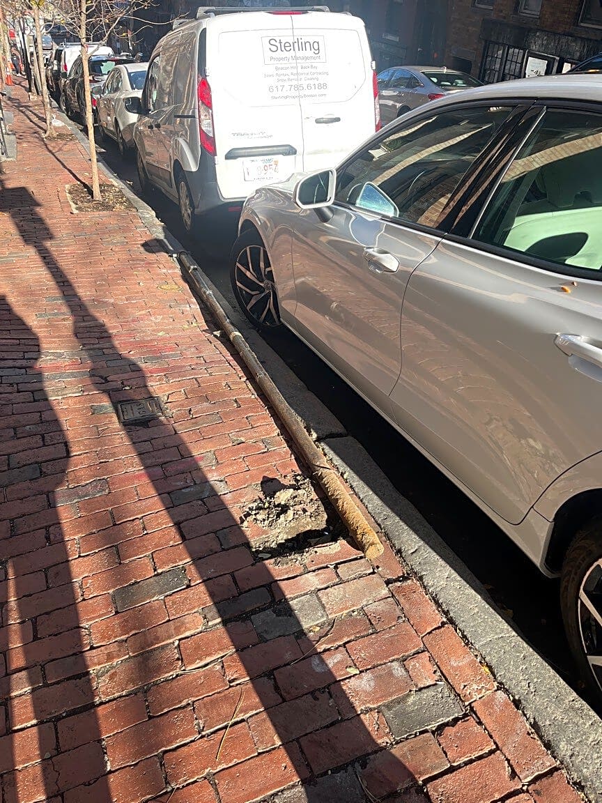 Image submitted with report