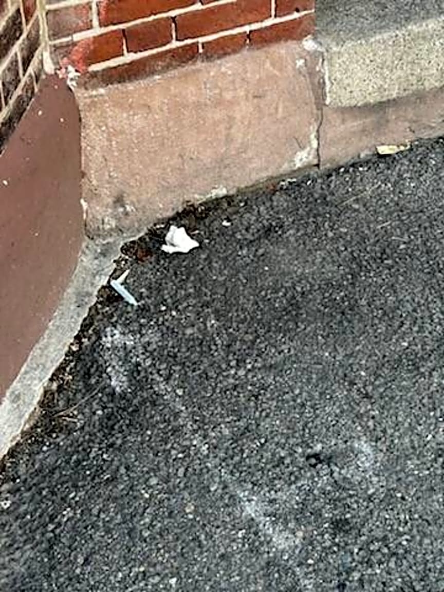 Image submitted with report