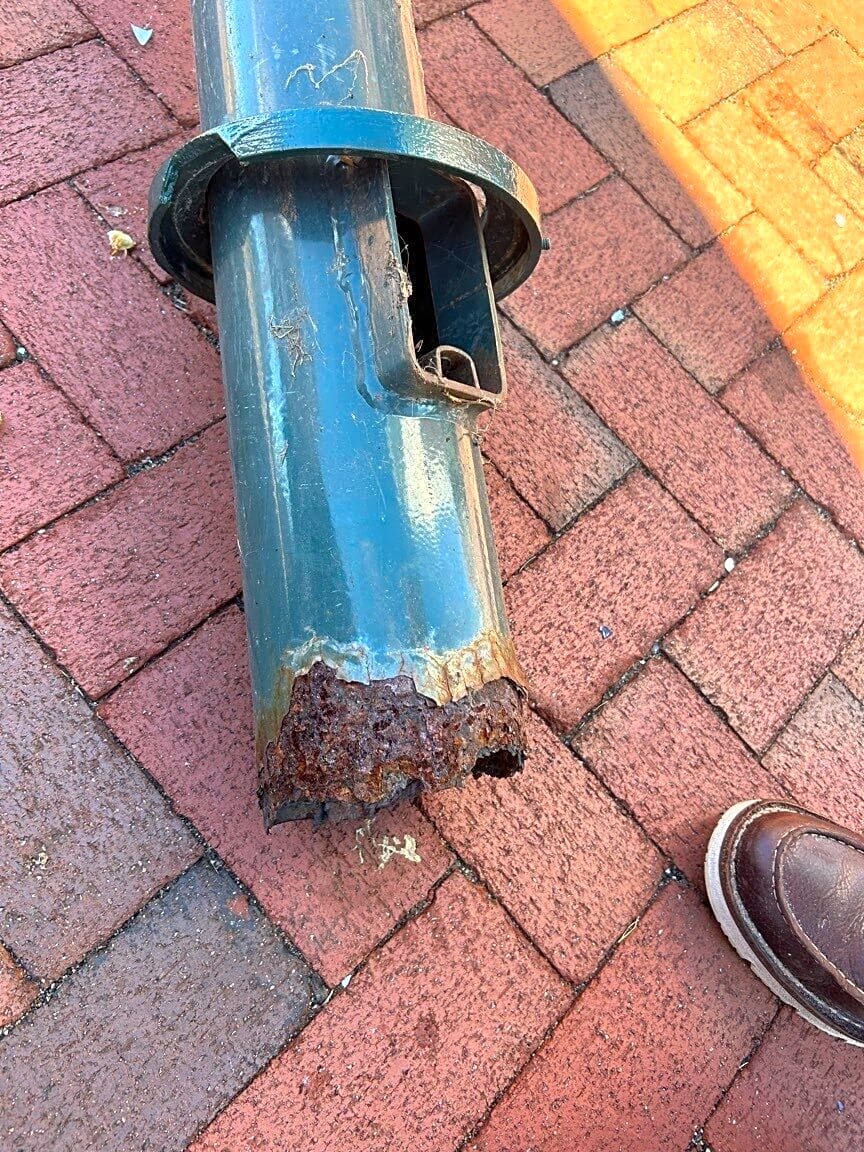 Image submitted with report