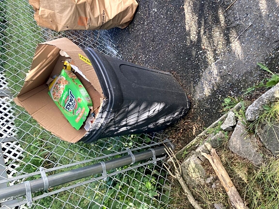 Image submitted with report
