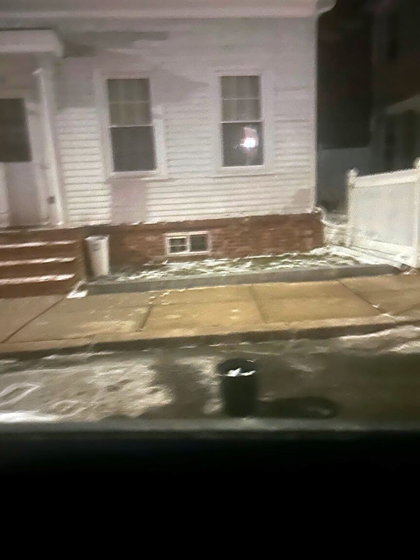 Image submitted with report