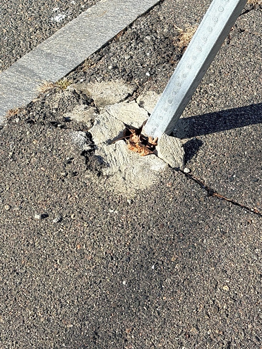 Image submitted with report