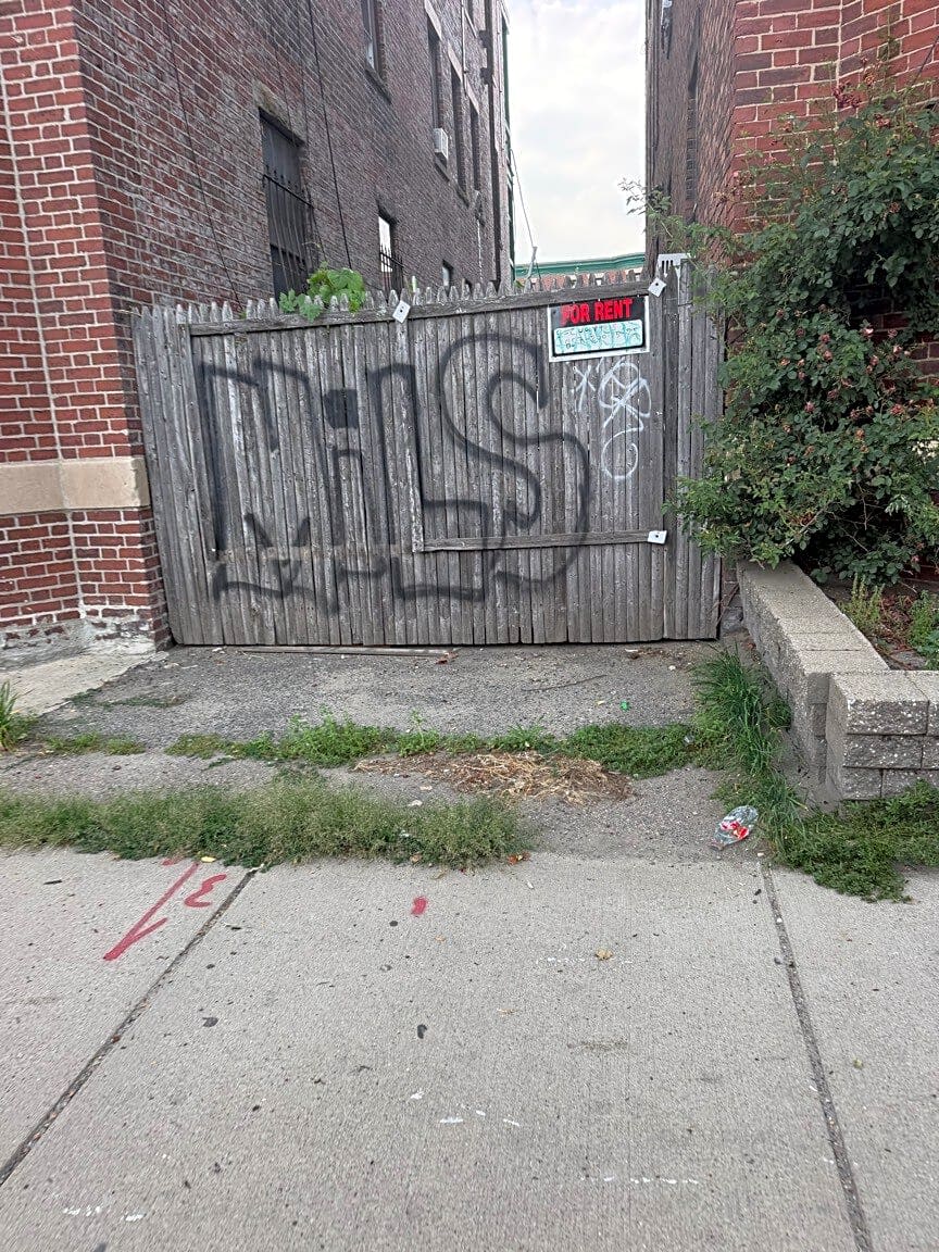 Image submitted with report