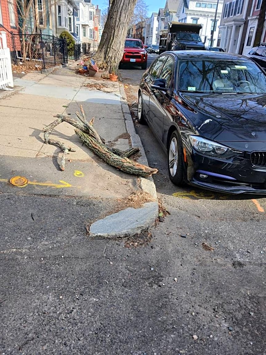 Image submitted with report