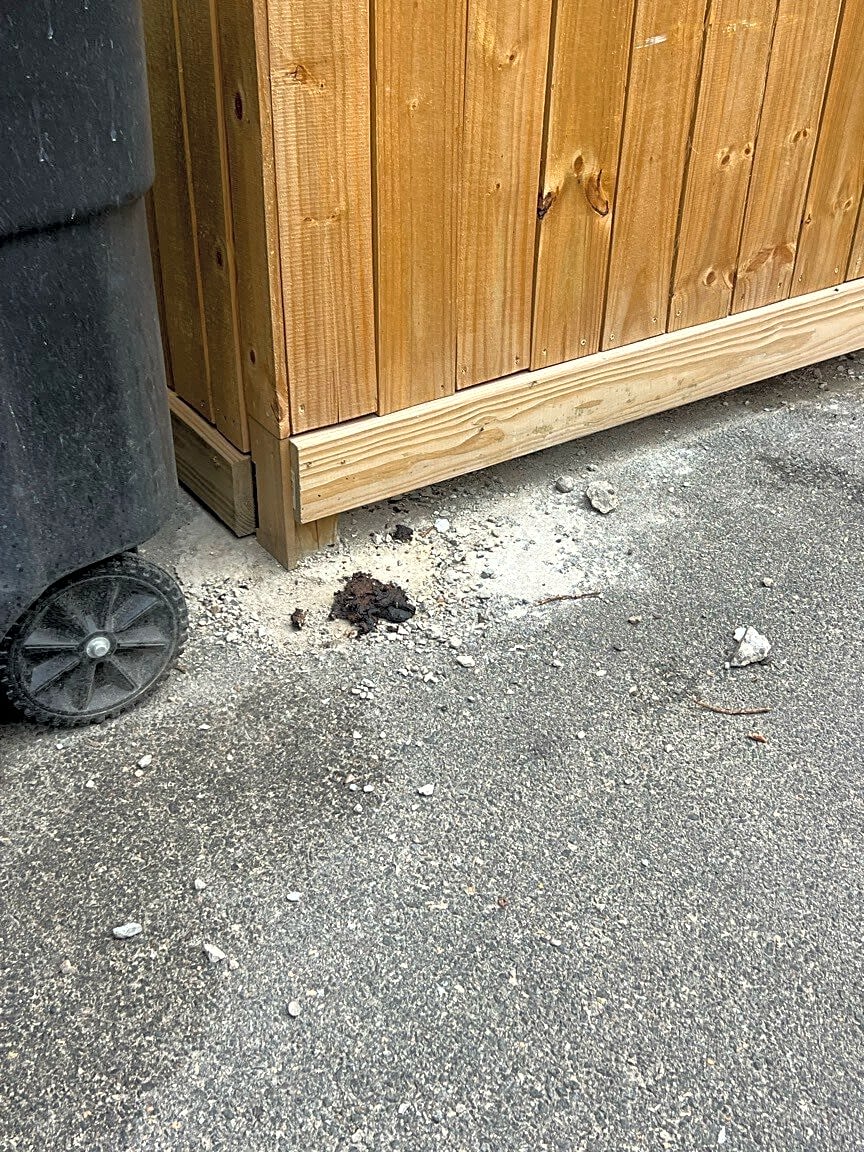 Image submitted with report