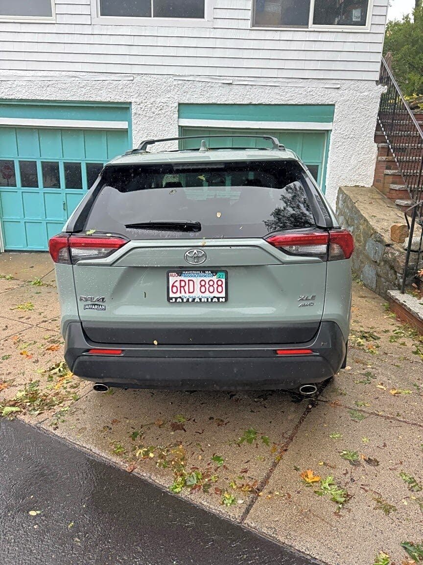 Image submitted with report