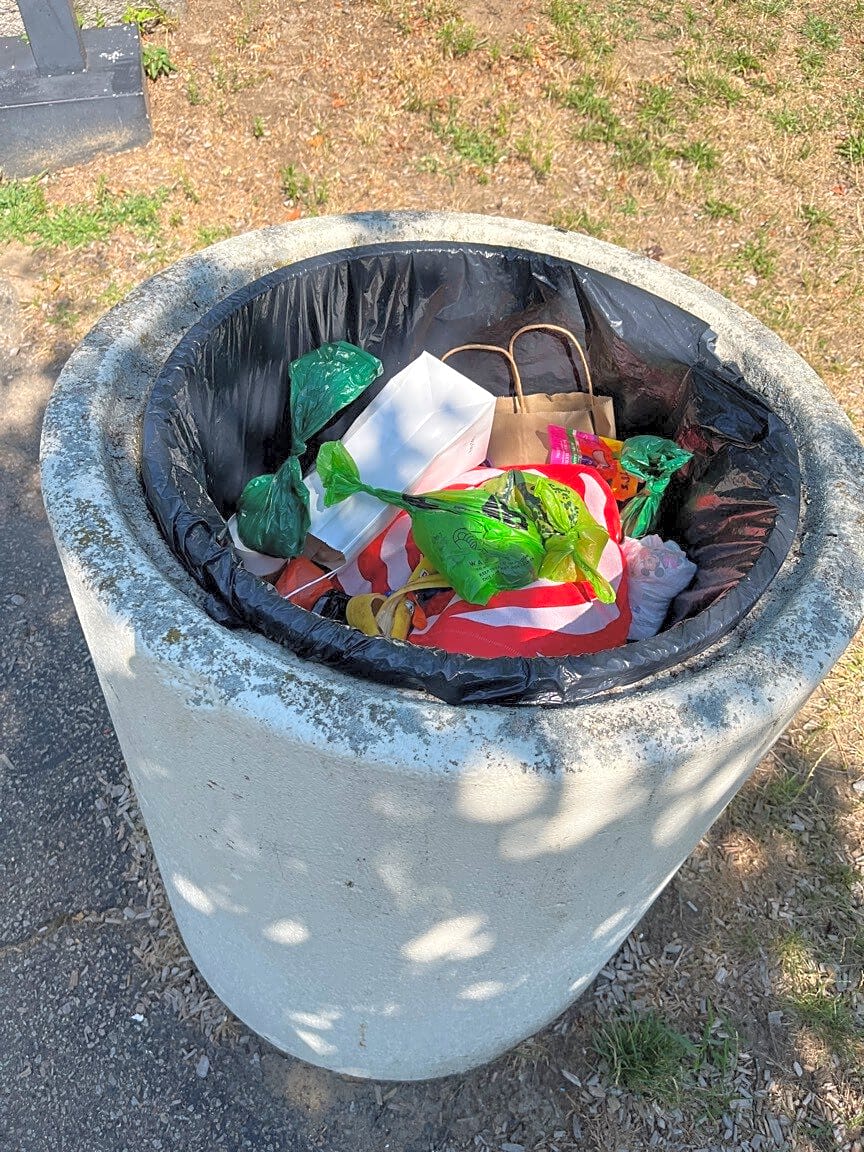Image submitted with report