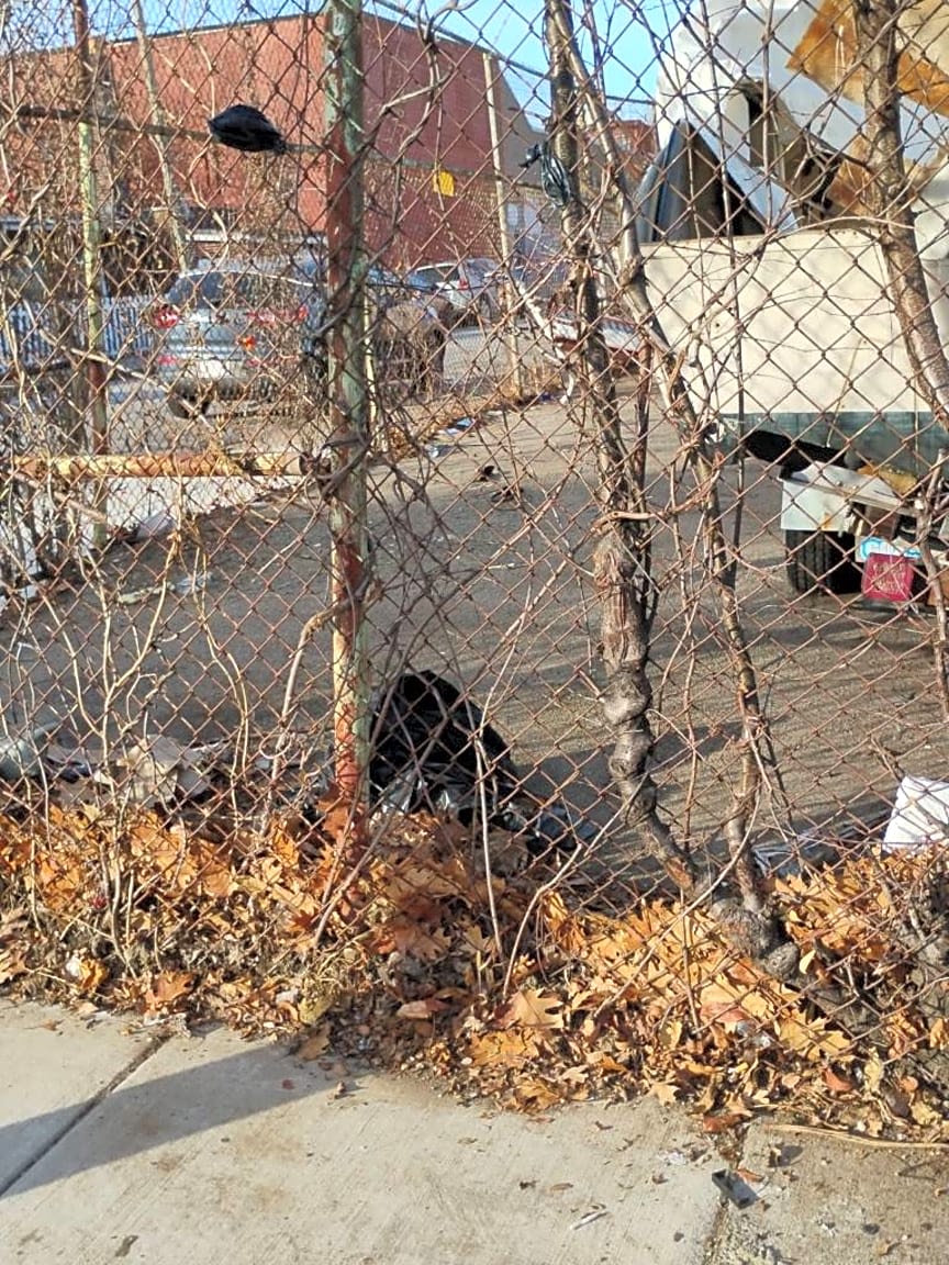 Image submitted with report