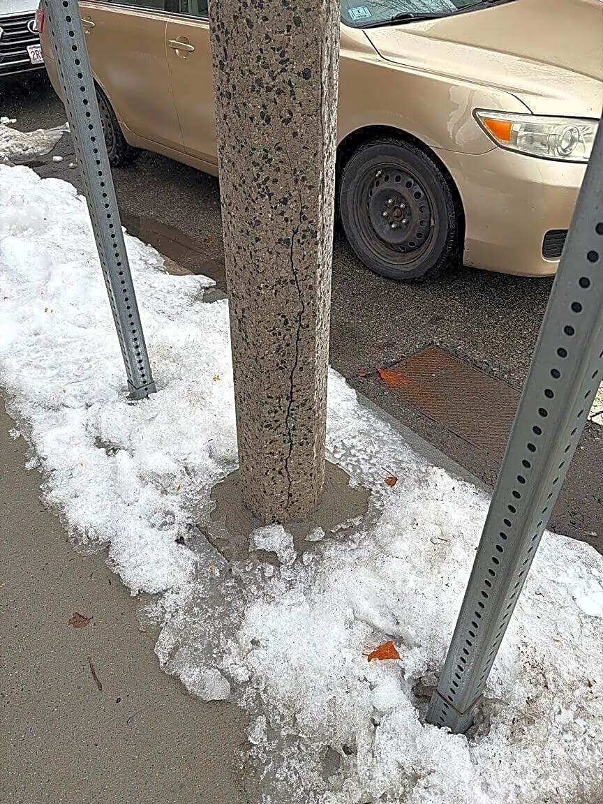 Image submitted with report