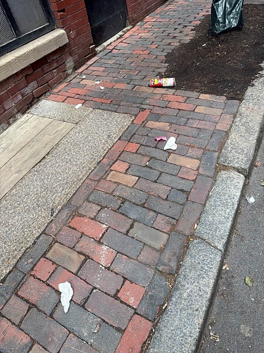 Image submitted with report