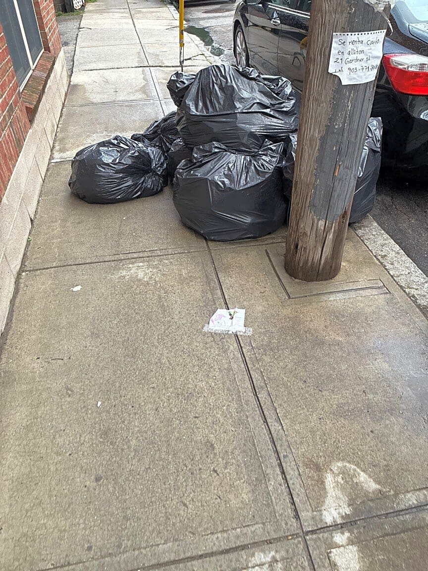 Image submitted with report