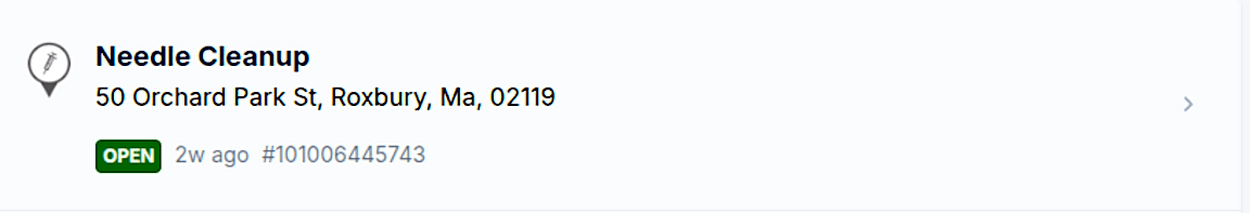 Image submitted with report