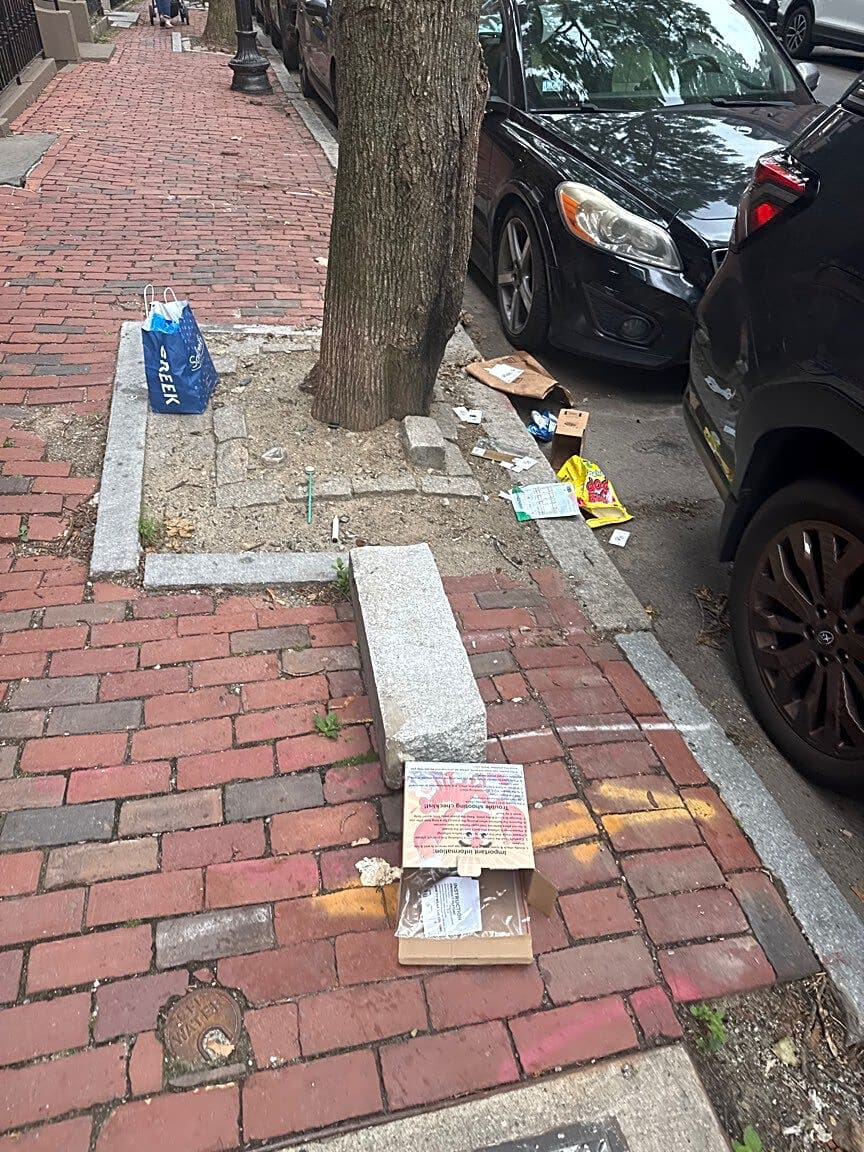 Image submitted with report