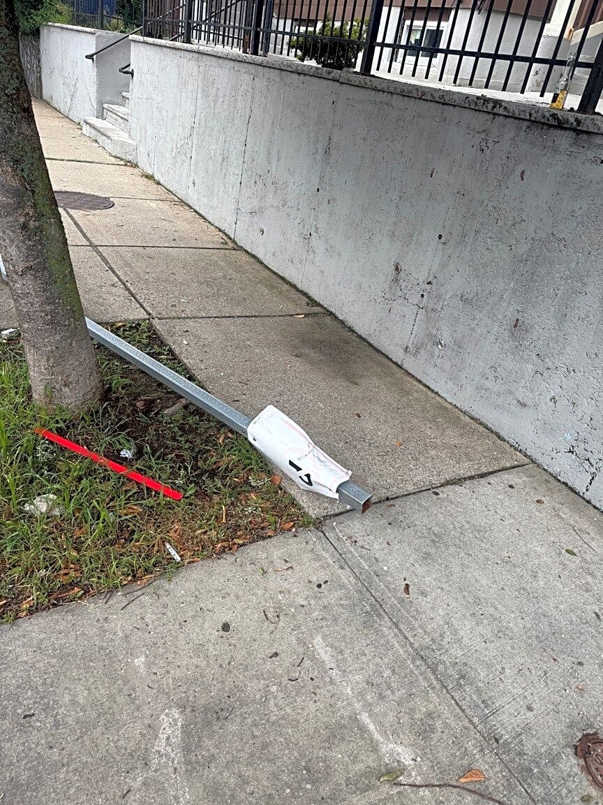 Image submitted with report