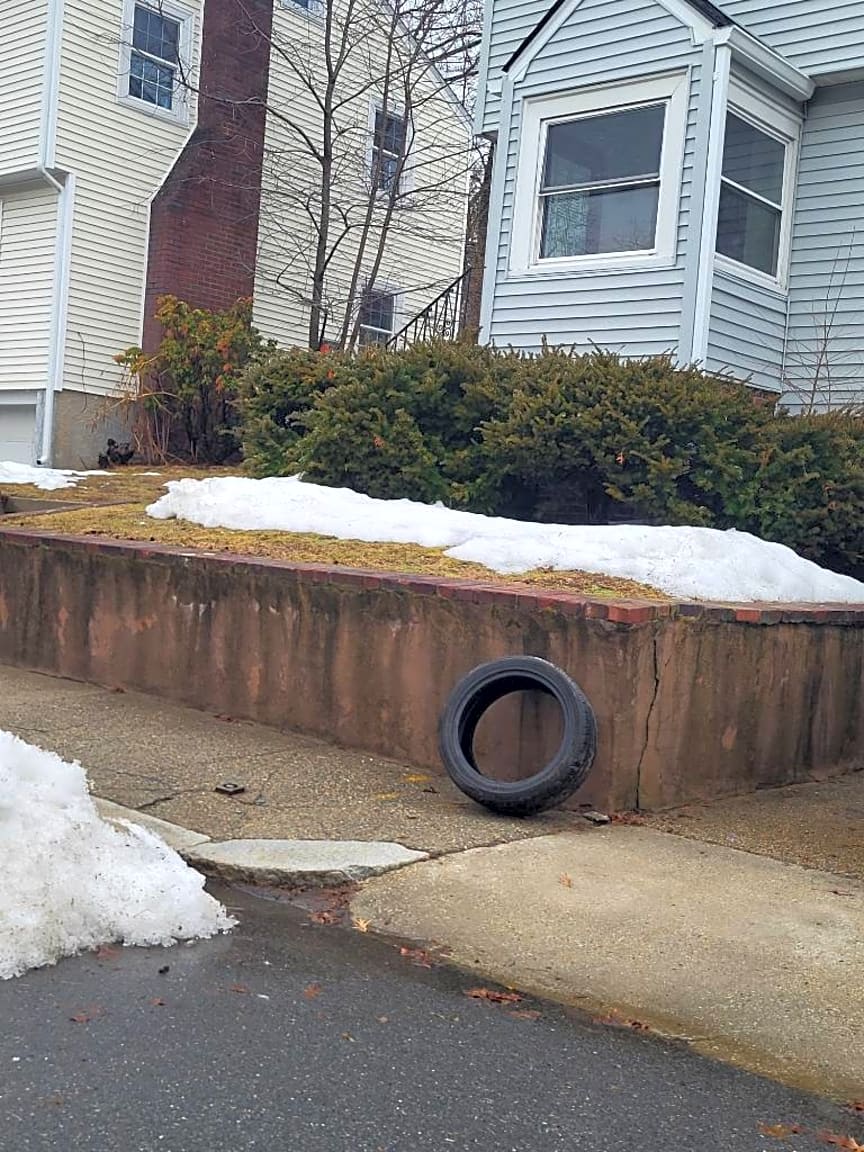 Image submitted with report