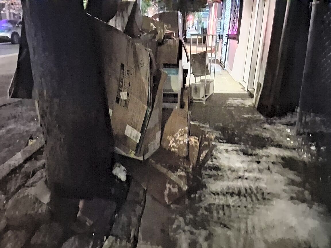 Image submitted with report