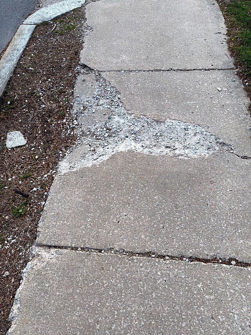 Image submitted with report