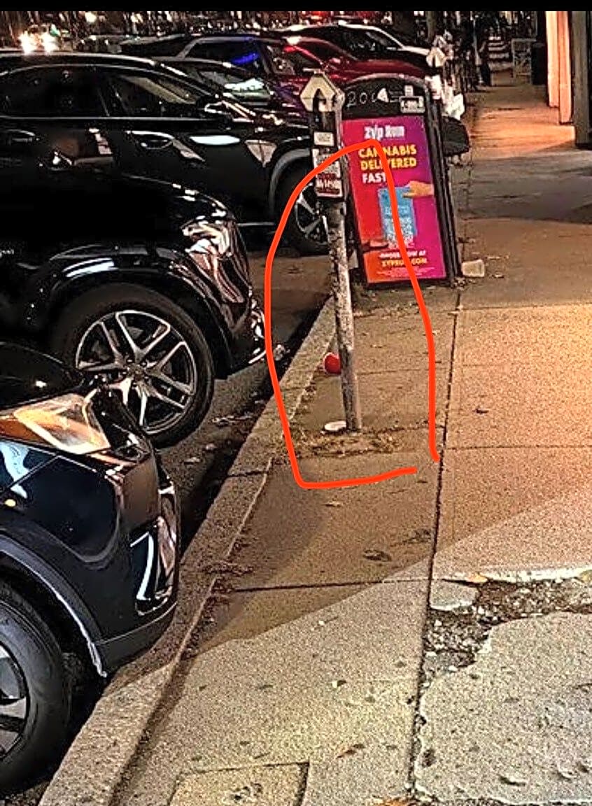 Image submitted with report