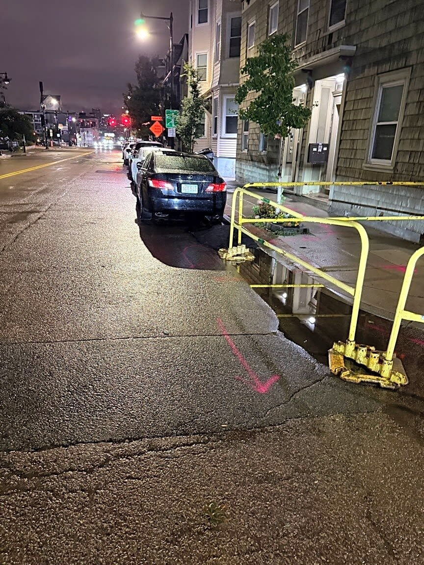 Image submitted with report