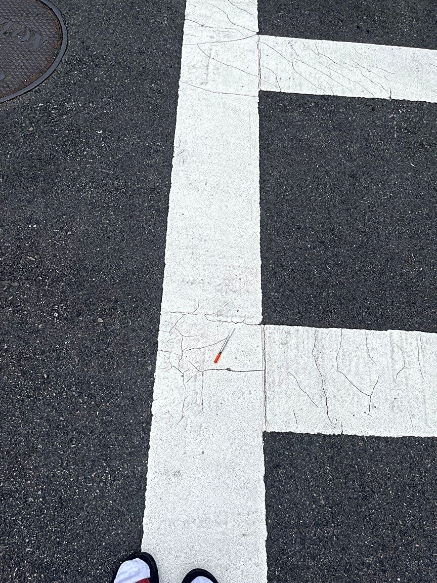 Image submitted with report