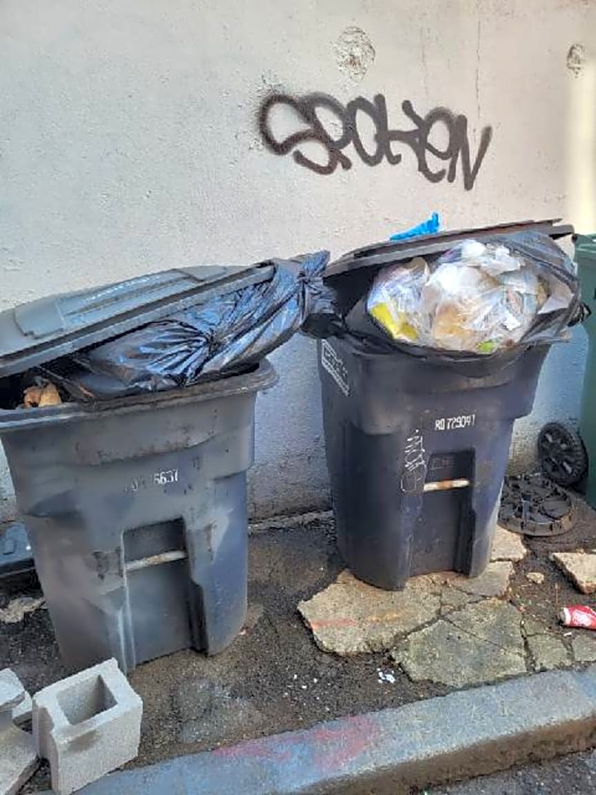 Image submitted with report