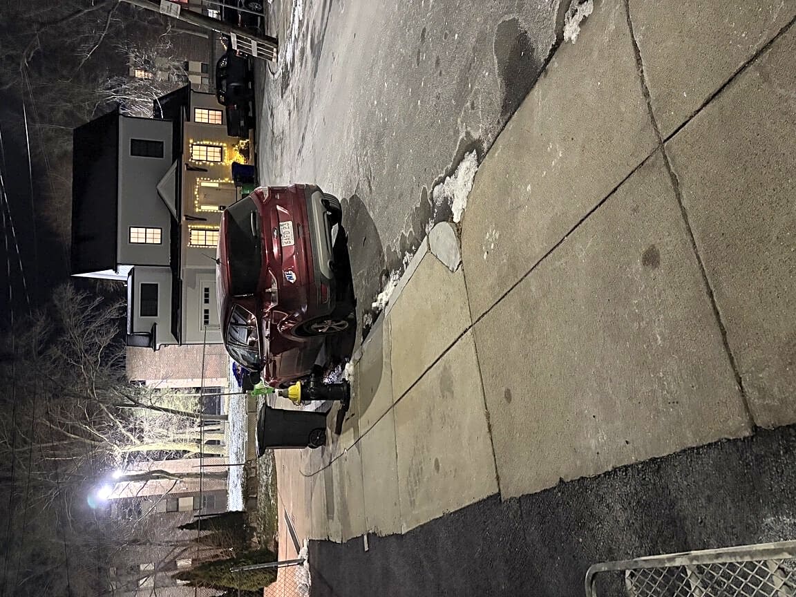 Image submitted with report