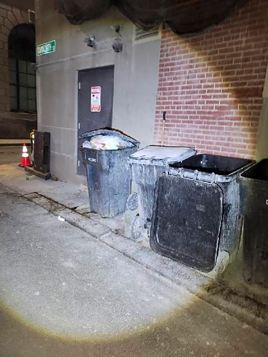 Image submitted with report