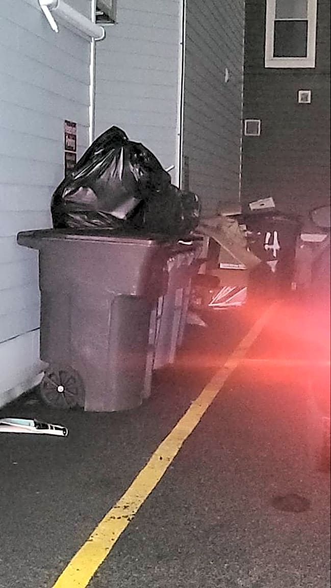 Image submitted with report