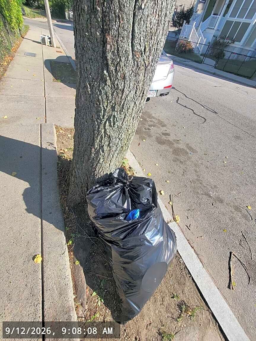 Image submitted with report