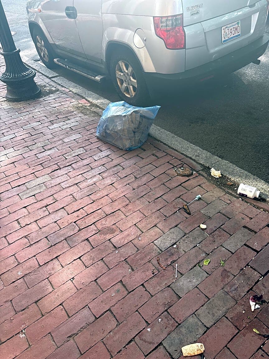 Image submitted with report