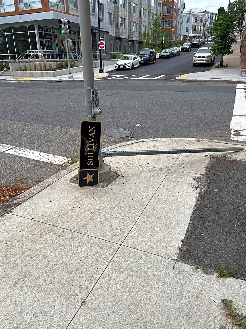 Image submitted with report