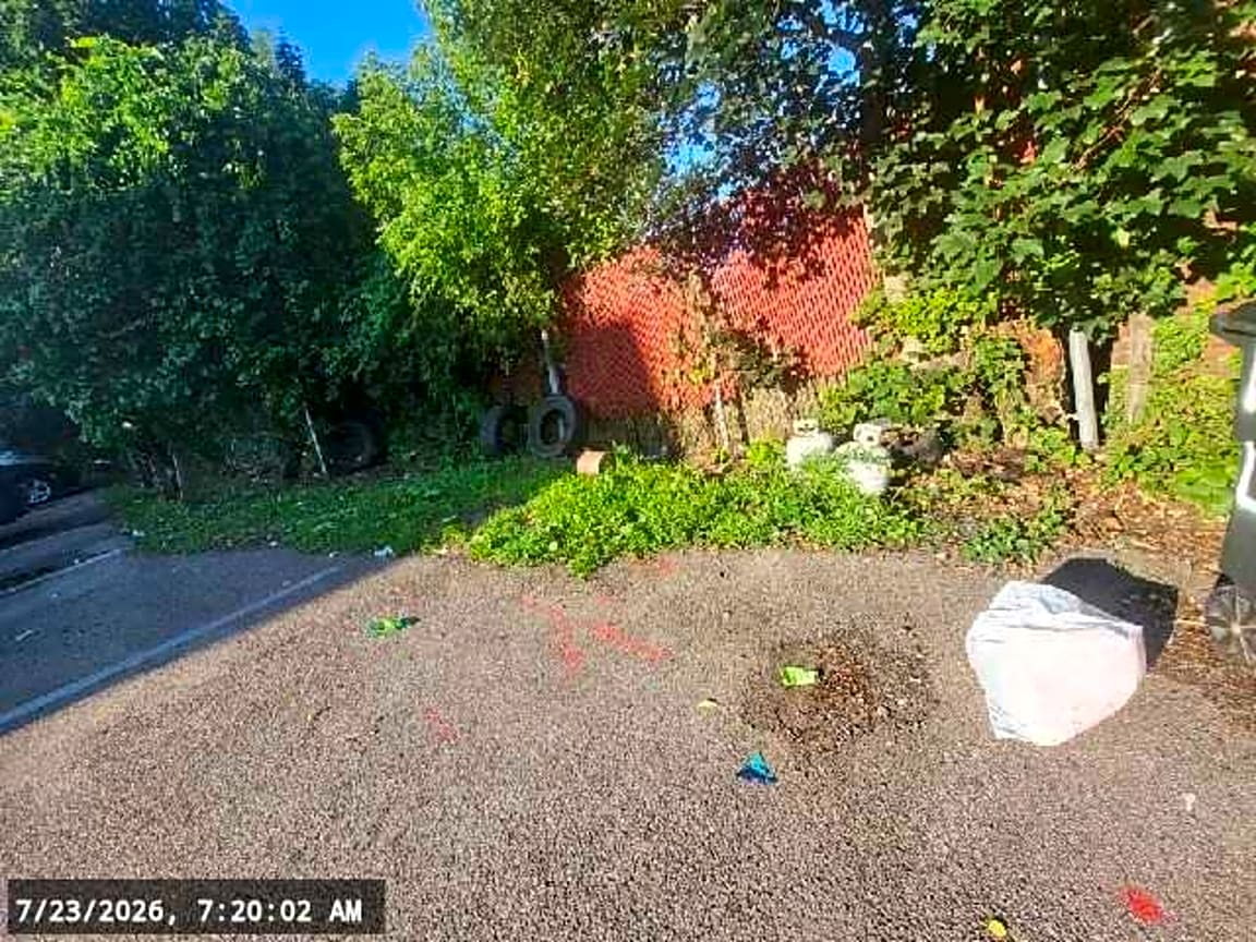 Image submitted with report