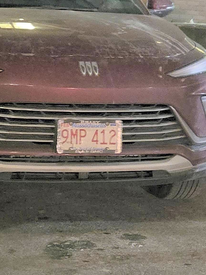 Image submitted with report