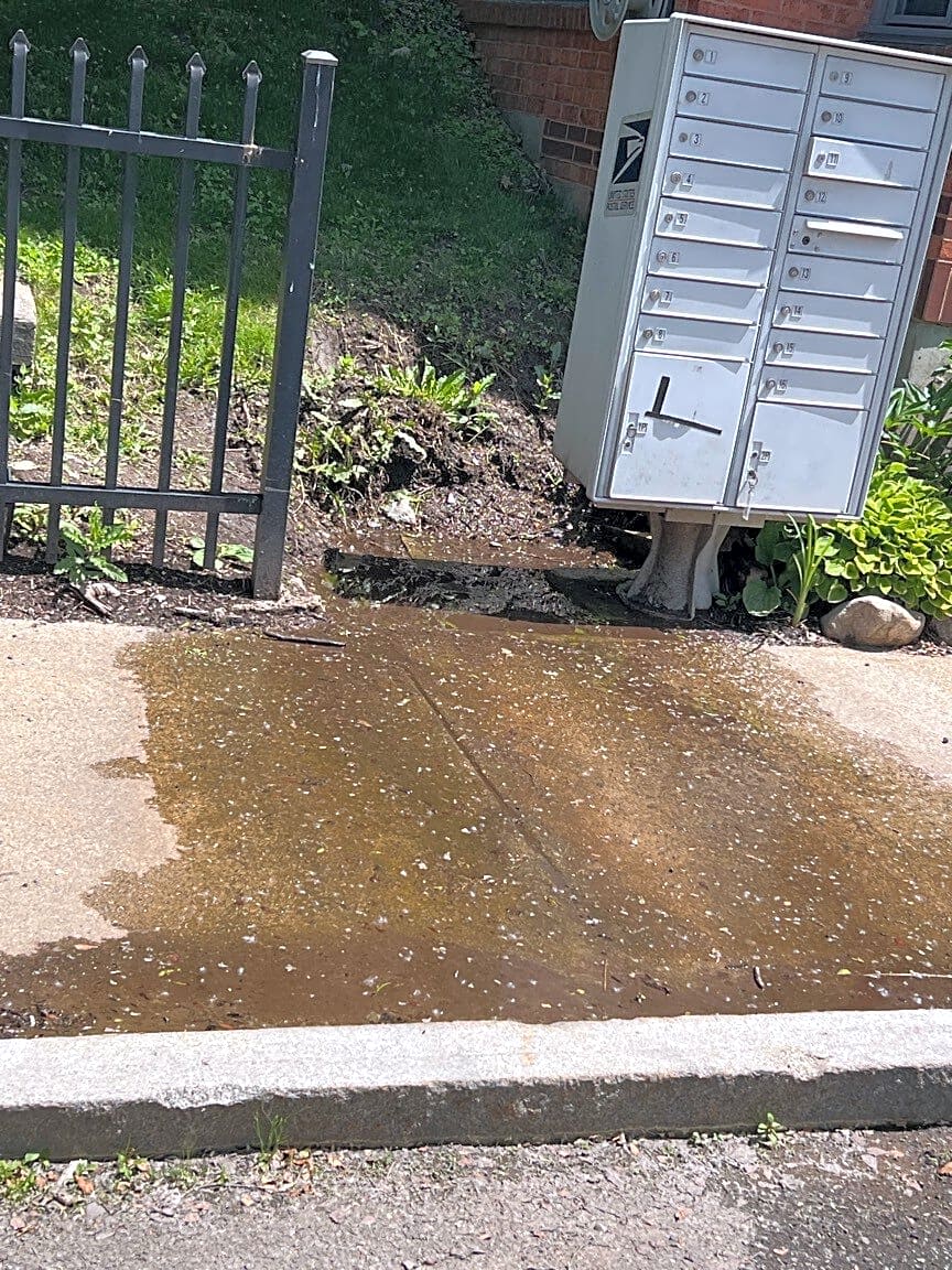 Image submitted with report