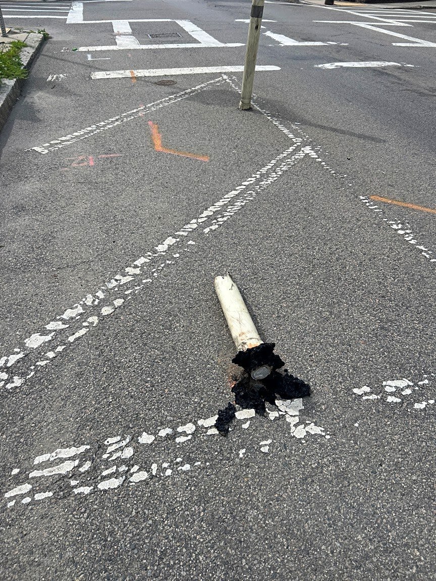 Image submitted with report