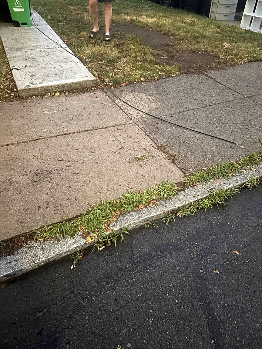 Image submitted with report