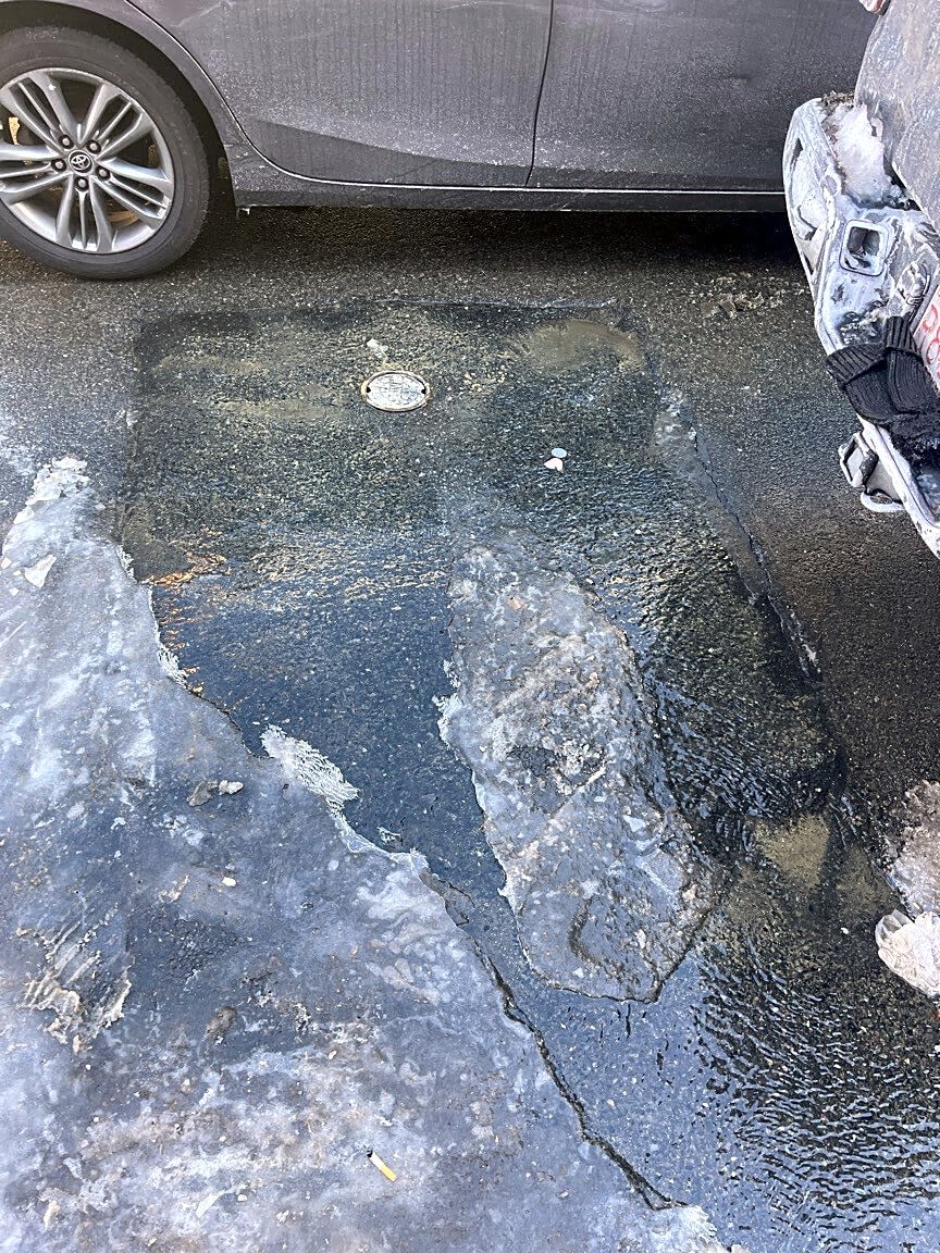 Image submitted with report