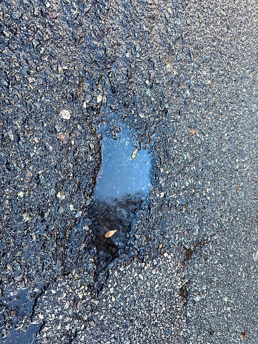 Image submitted with report