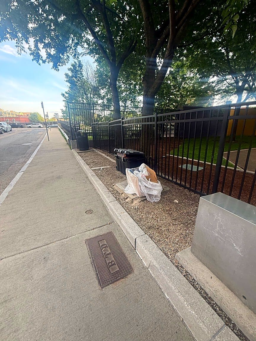 Image submitted with report