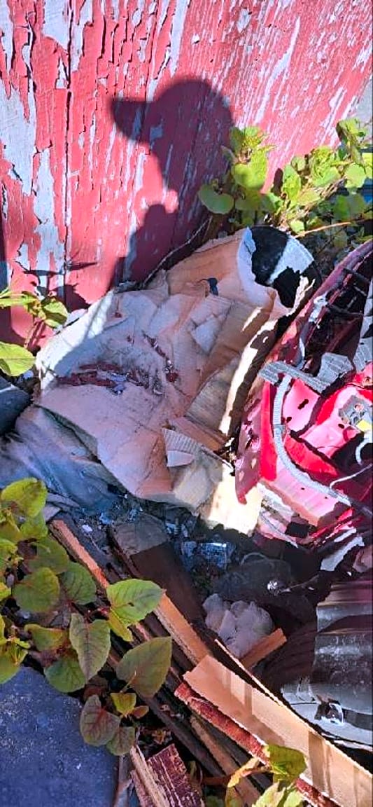 Image submitted with report