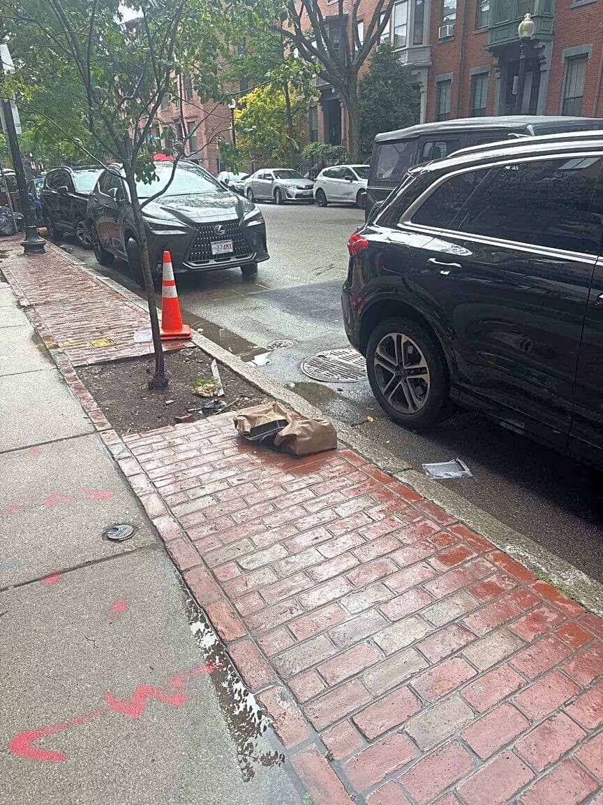 Image submitted with report