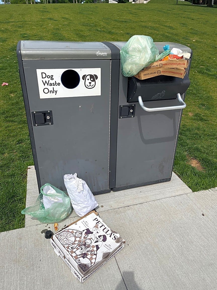 Image submitted with report