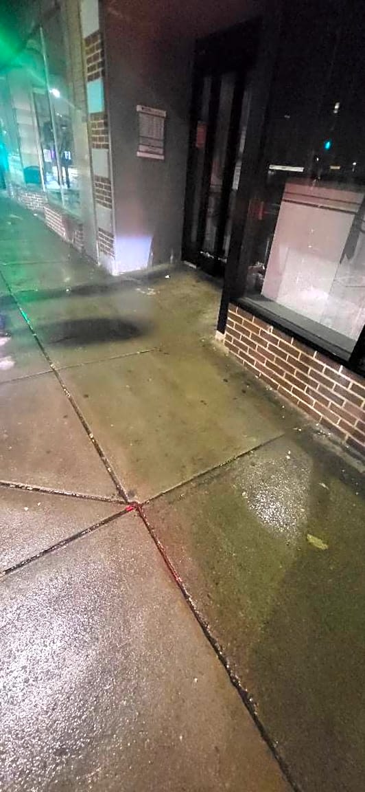 Image submitted with report