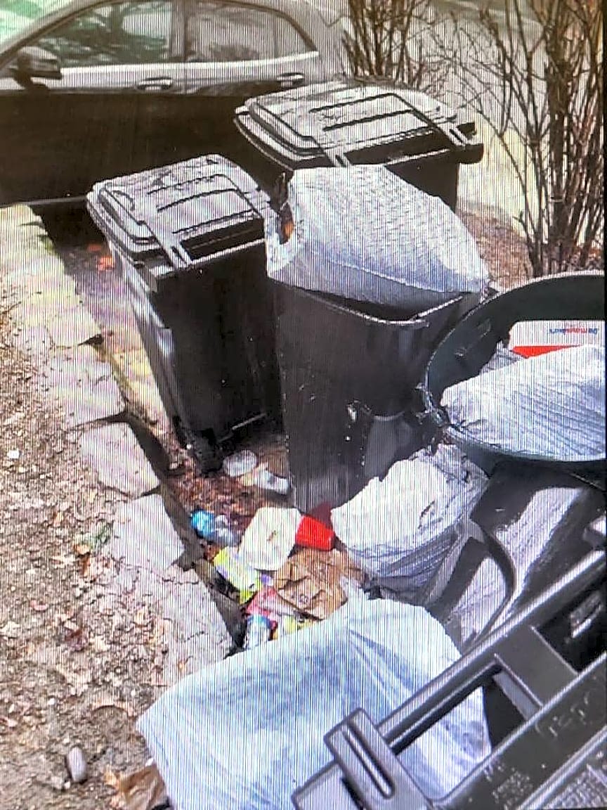 Image submitted with report